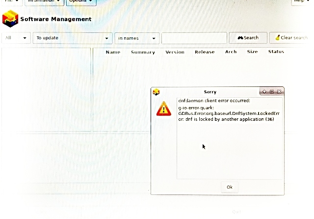 Screenshot Fedora Security Live