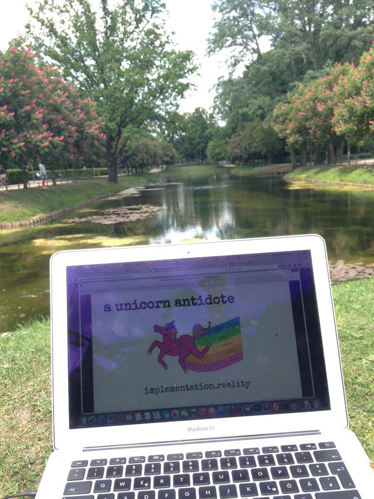 Mit dem MacBook auf der Wiese am Venusbassin im Tiergarten Berlin