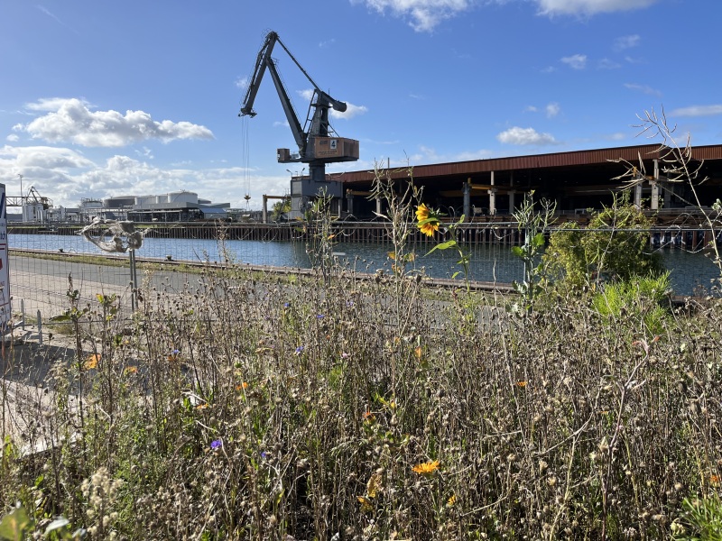 Stichkanal in Hannover-Linden