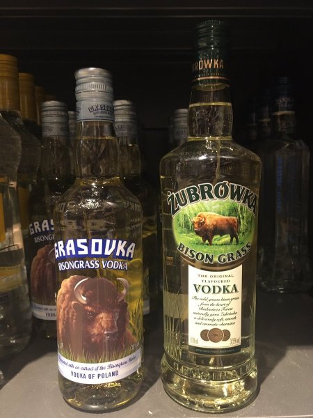 Flasche Żubrówka neben Grasovka zusammen im Regal im Supermarkt
