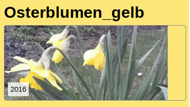 Osterblumen Osterblumen